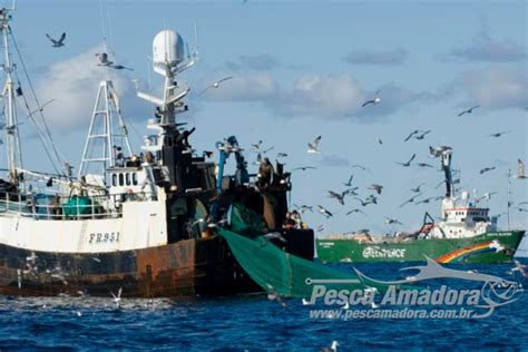 Tratado Mundial Contra A Pesca Ilegal Entra Em Vigor Portal Pesca