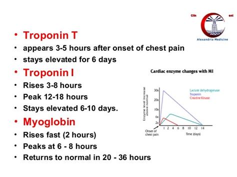 Clinical Enzymology