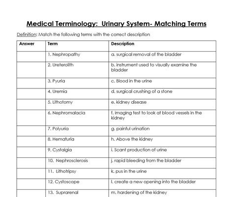 Medical Terminology Urinary System Matching Terms Health Sciences