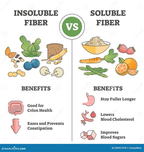 Insoluble or Soluble Fiber Consumption Benefits Comparison Outline ...