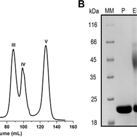 Effect Of Temperature And Ph On Hxyn2 Activity And Thermostability A