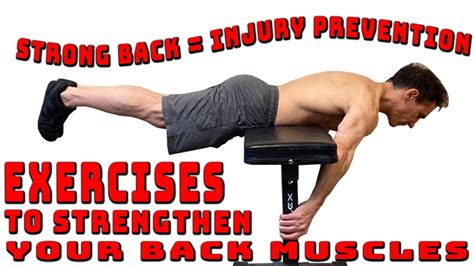 How To Strengthen Your Back Muscles Youtube