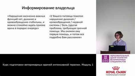 Триаж. Часть 2 - YouTube