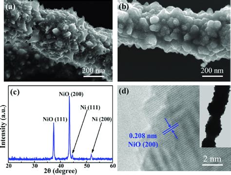 A The SEM Morphology Of The Ni Nanowire B The SEM Morphology Of