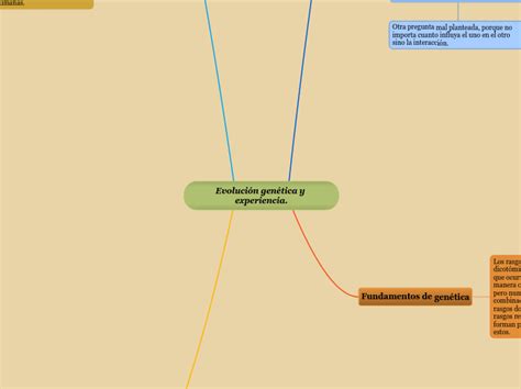 Evoluci N Gen Tica Y Experiencia Mind Map