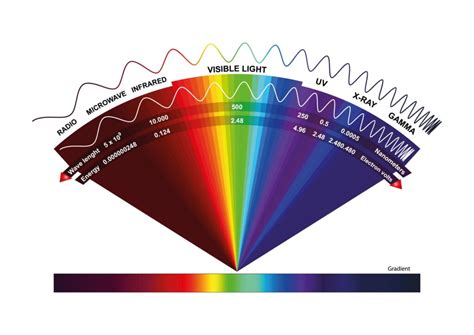 Qu Tipos De Radiaci N Ultravioleta Existen Y Cu Les Son Sus