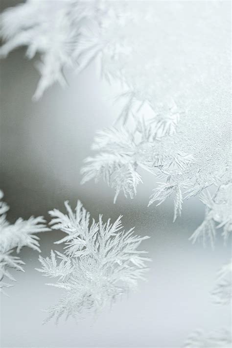 Snow Flakes Photos, Download The BEST Free Snow Flakes Stock Photos & HD Images