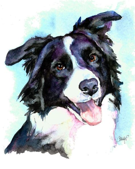 Petey Border Collie By Christy Freeman Stark Acuarela Animal