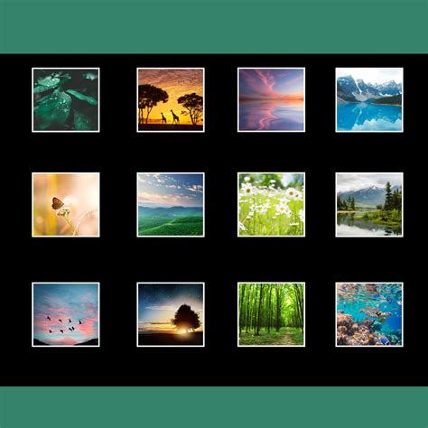 Nature Calendar 2024 Gift Idea for Nature Lovers Nature Wall Calendar ...