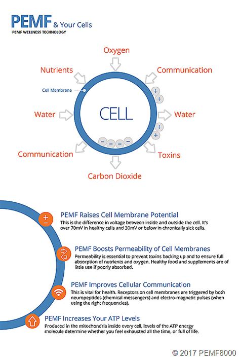 Pemf Frequency Chart