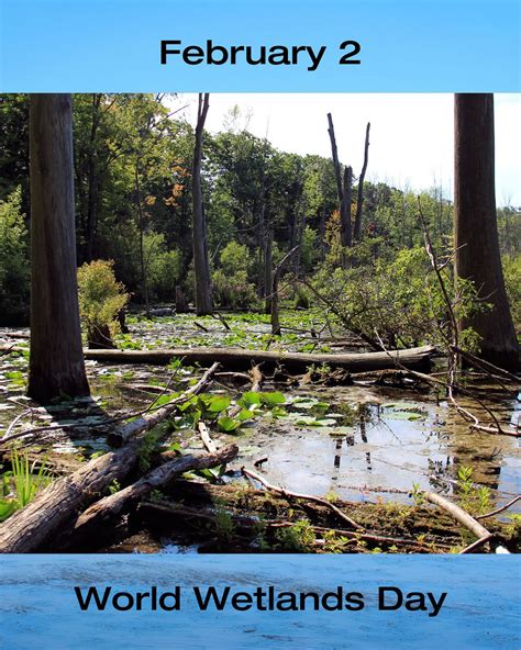 How the uc canopy project monitors environmental changes 31