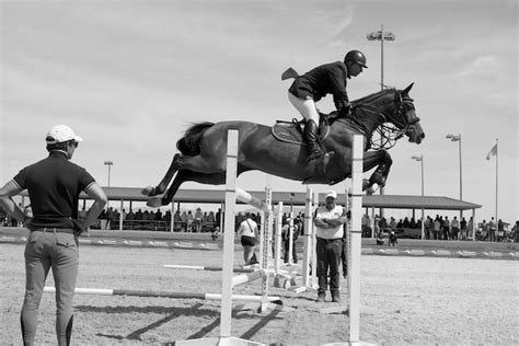 HITS Horse Show Photos Capture Beauty, Intensity of Event