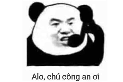 Meme Gấu Trúc Bựa Trung Quốc 88 Hình Cám Ơn Cười Yêu Dỗi