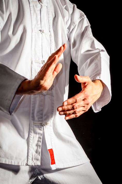 Tai Chi Taiji Taijiquan Martial Free Photo On Pixabay Pixabay