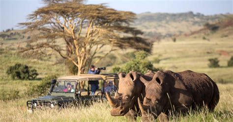 Safari Di 4 Giorni A Ol Pejeta Aberdare E Solio Ranch In Jeep 4x4