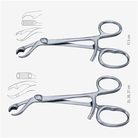 Verbrugge Bone Holding Forceps Xelpov Surgical