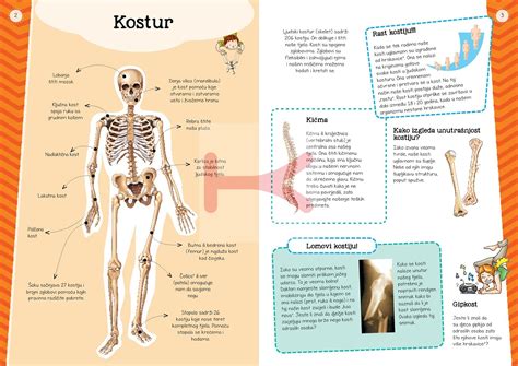 Ilustrirani Atlas Ljudskog Tijela Knjigoland