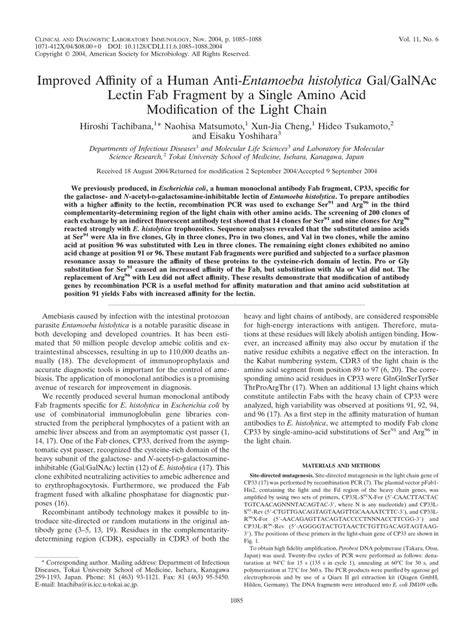 PDF Improved Affinity Of A Human Anti Entamoeba Histolytica Gal