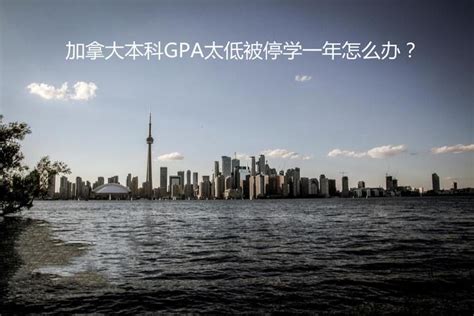 加拿大本科gpa太低被停学一年怎么办？ 知乎