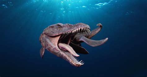 10 Ancient Sea Monsters as Terrifying as Megalodon – Dailynews Journal