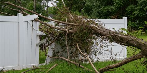 General Liability Insurance For Your Tree Service Business Treepro