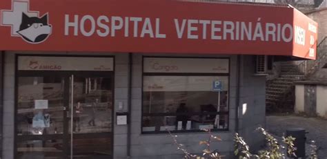 Hosp Veterin Rio De Viseu Hvv Rede De Servi Os P Tis