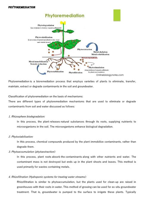 Phytoremediation Detailed Lecture Note Phytoremediation