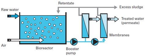 The Main Membrane Bioreactor Families Degremont