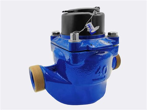 BULK WOLTMANN Water Meter