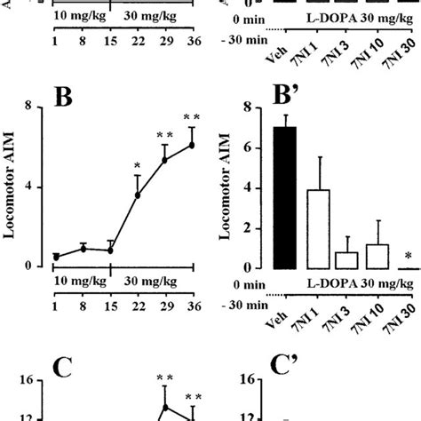 Escalating Low Dose Of L Dopa Administration Induced Dyskinesia In