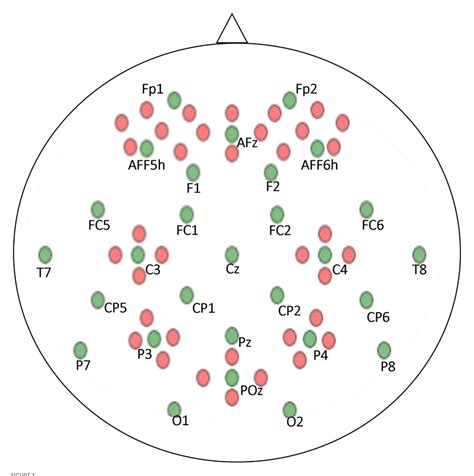 Figure From Eeg Fnirs Based Hybrid Image Construction And