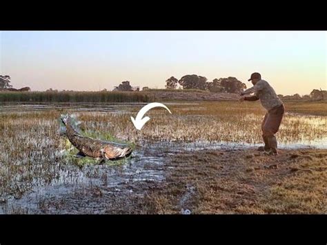 Quando o pescador caipira vai pescar de artificial dá é nisso kkkkk