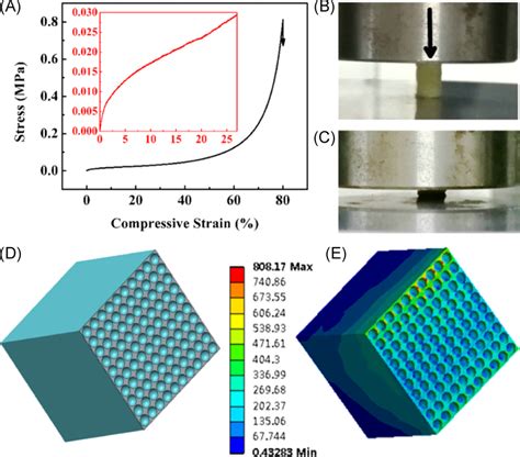 The Branched Aramid Nanofiber BANF Sample Under Pressure A