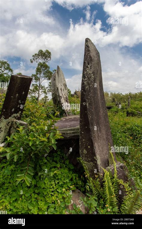 Group of dolmen in Flores island with lush vegetation and blue sky in ...