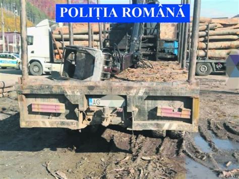 Transporta Lemne Furate Cu Un Autocamion Ne Nmatriculat Evenimentul