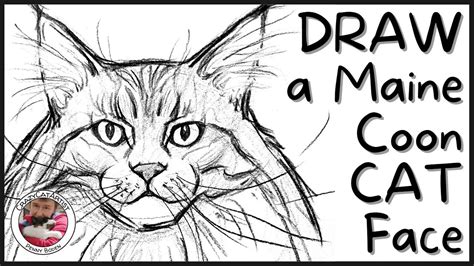 How To Draw Cat Face Simple Fluffy Long Hair Maine Coon Head Sketch