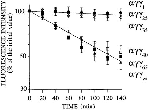 Cell Surface Half Lives Of Wt And Truncated Forms Of Wt In J77 Cells