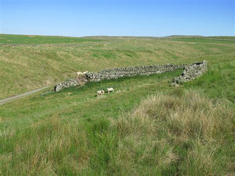 Dry Stone Walls By Flushiemere Beck Mike Quinn Cc By Sa 2 0