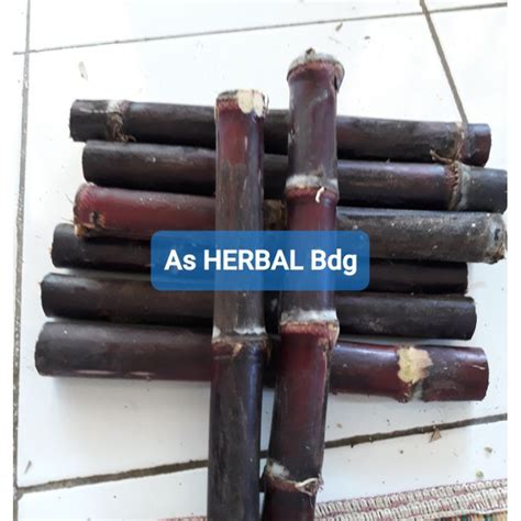 Jual Jual Tebu Hitam Atau Tebu Ireng Segar Fresh Kg Shopee Indonesia