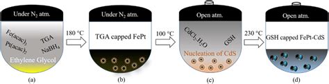 Schematic Diagram Represents The One Pot Synthesis Procedure For