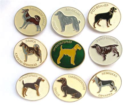 Dog Pins Badge Pick Your Pin Dog Breed Pin Pet Animal Fauna