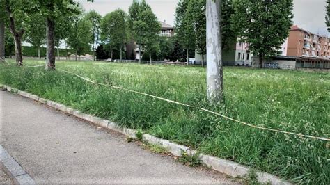 Fase A Biella Luned Riaprono Parchi E Foreste Da Oltre Due