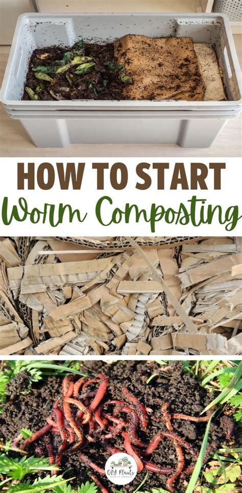 Worm composting – Artofit