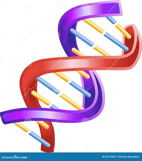 脱氧核糖核酸发光双重螺旋的例证 向量例证 插画 包括有 切片检查法 化学 医学 健康 染色体 生活 8727048