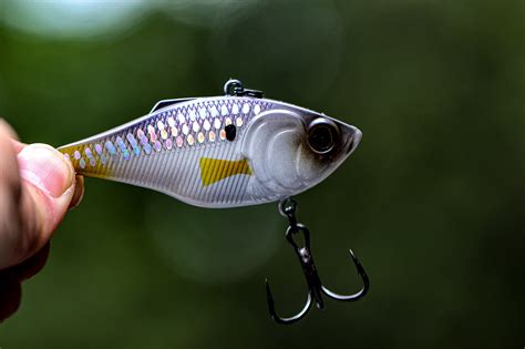 6th Sense Fishing Quake Lipless Crankbait Shad Pro