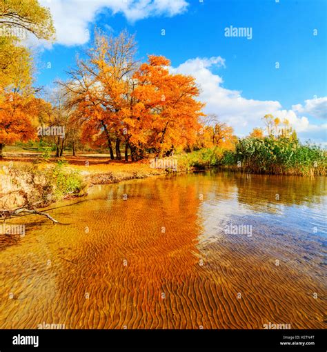 Autumn forest river landscape Stock Photo - Alamy