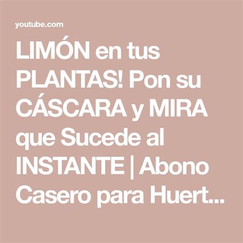 Lim N En Tus Plantas Pon Su C Scara Y Mira Que Sucede Al Instante