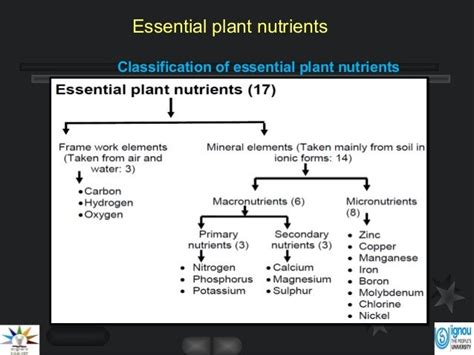 Essential plant nutrients by dilip kumar chandra