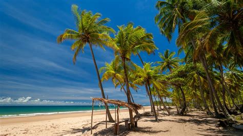 O que fazer na Península de Maraú por que visitar este paraíso baiano