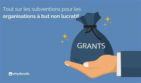 Tout Ce Qu Il Faut Savoir Sur Les Subventions Pour Les Organisations